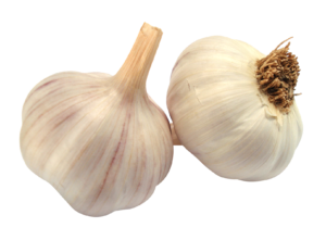 Garlic to boost the immune system